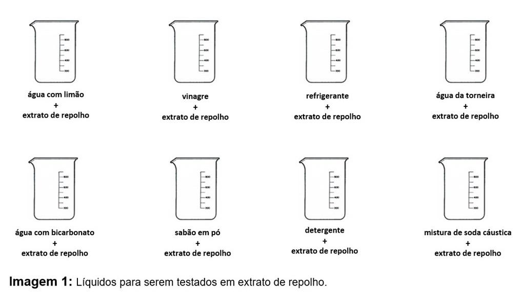 INDICADOR ÁCIDO-BASE COM REPOLHO ROXO- AULA PRÁTICA 