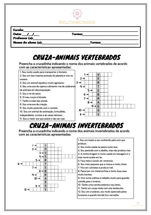 ATIVIDADES: ANIMAIS VERTEBRADOS E INVERTEBRADOS