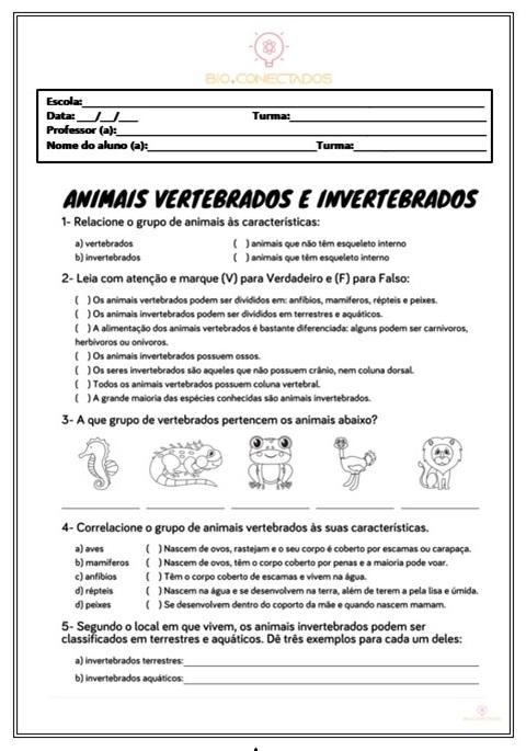 ATIVIDADES: ANIMAIS VERTEBRADOS E INVERTEBRADOS