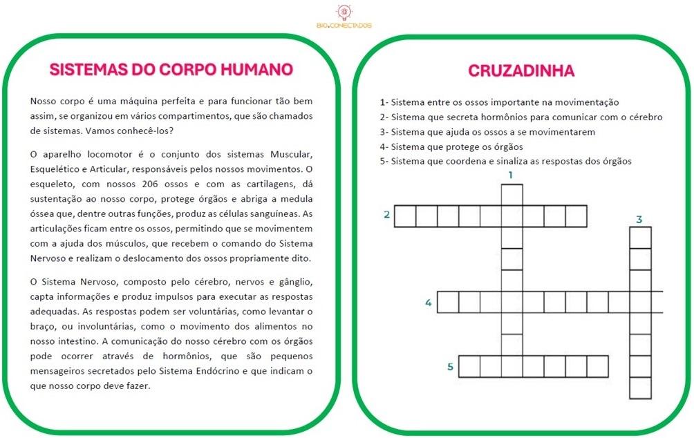 CRUZADINHA - SISTEMAS DO CORPO HUMANO - CIÊNCIAS