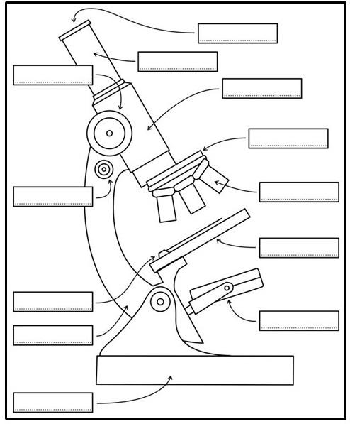 PARTES DO MICROSCÓPIO