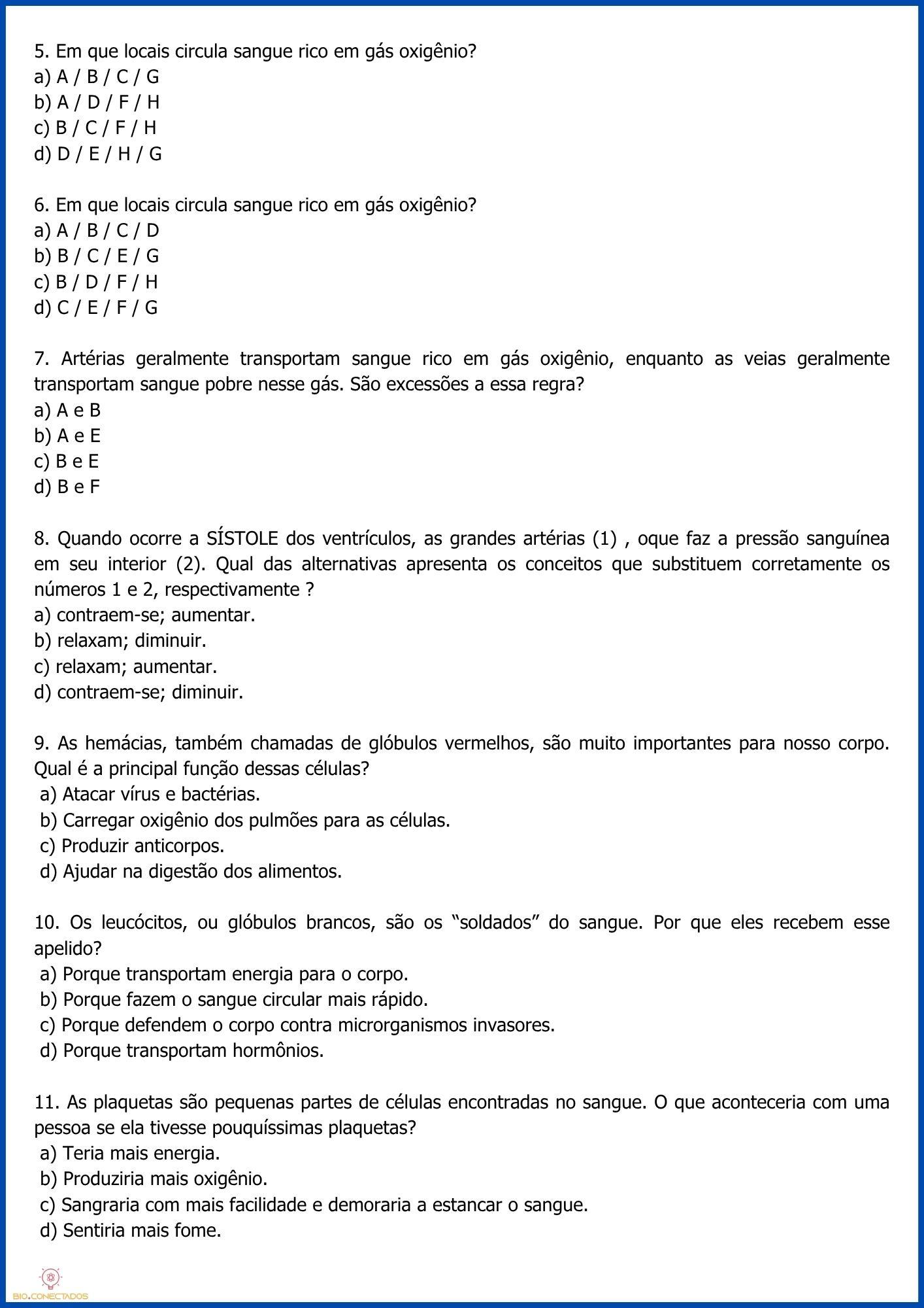 SISTEMA CARDIOVASCULAR - ATIVIDADES 