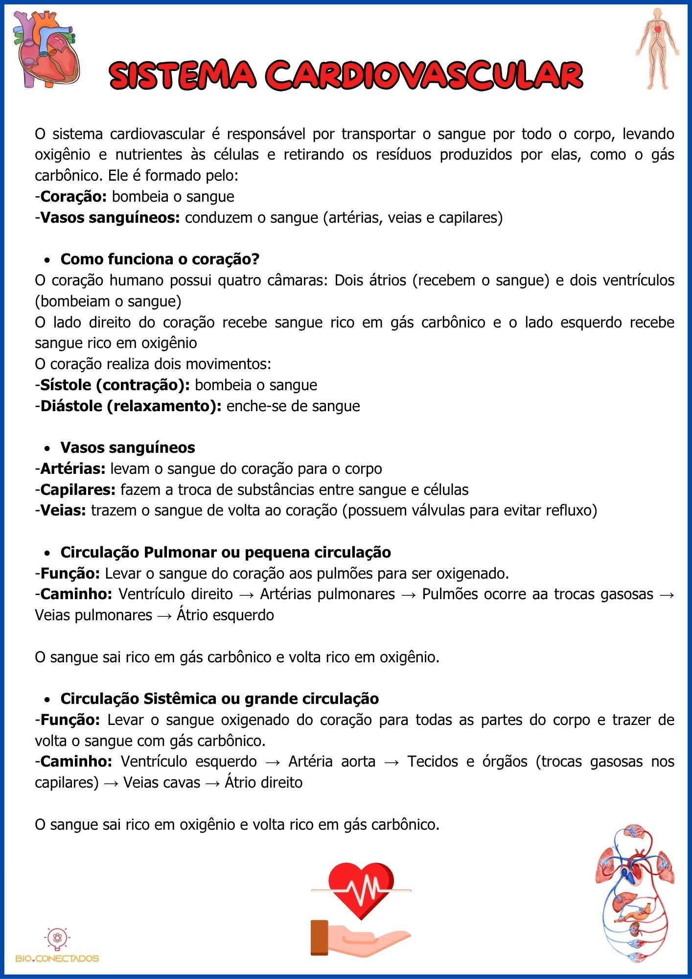 SISTEMA CARDIOVASCULAR - ATIVIDADES 