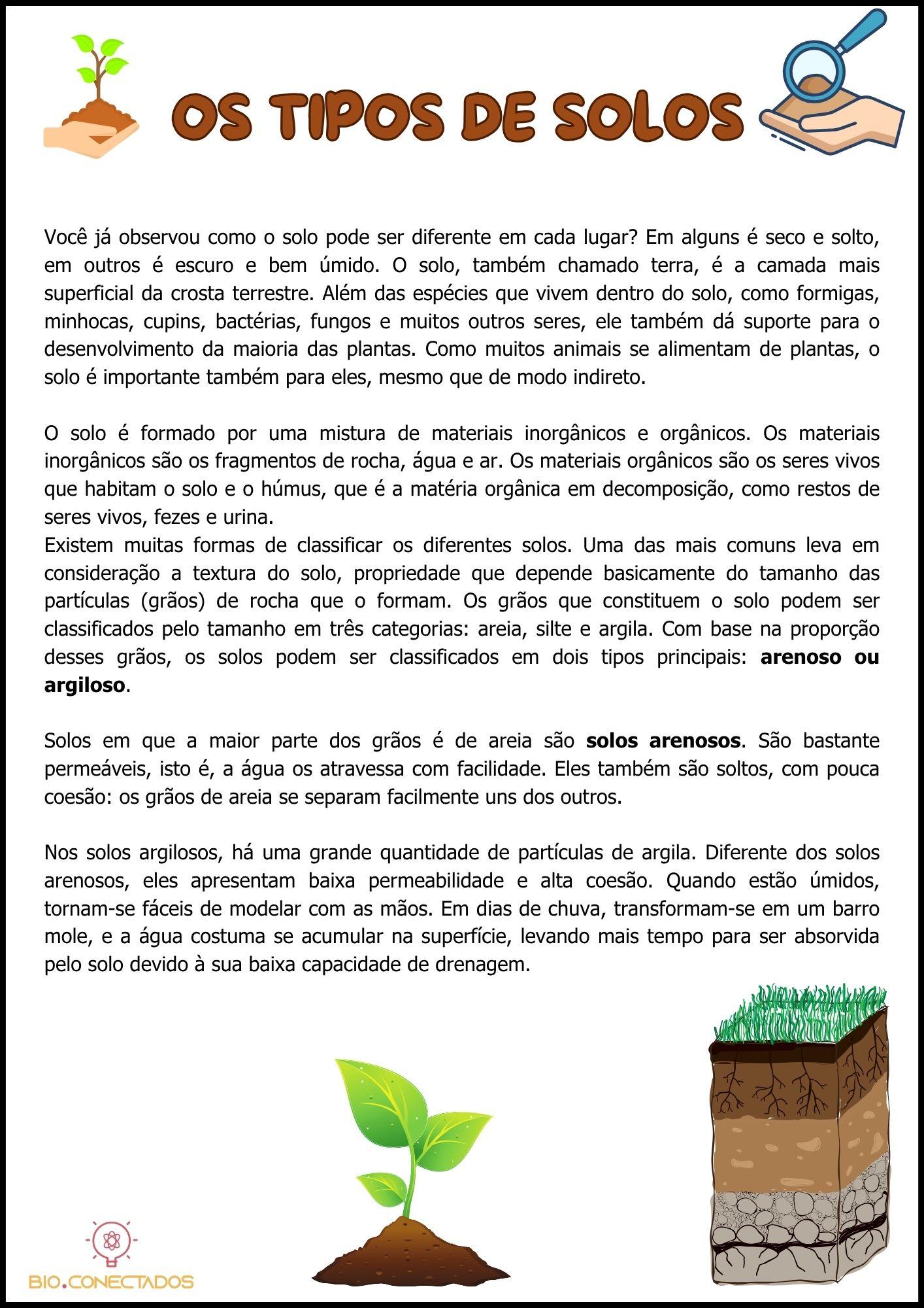 SOLOS: QUAIS SÃO OS TIPOS DE SOLOS? SAIBA QUAIS SÃO OS TIPOS DE SOLOS COM ESSA ATIVIDADE INCRÍVEL!