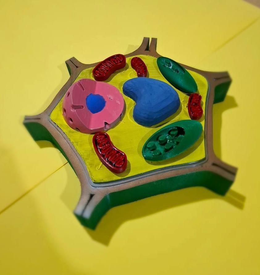 IMPRESSÃO 3D: O QUE É E COMO ELA PODE TRANSFORMAR SUAS AULAS.