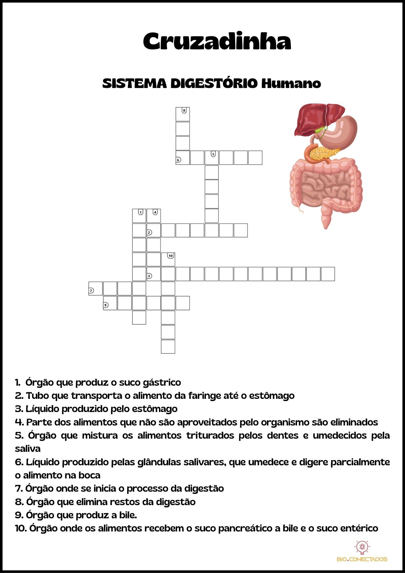 CRUZADINHA: SISTEMA DIGESTÓRIO HUMANO