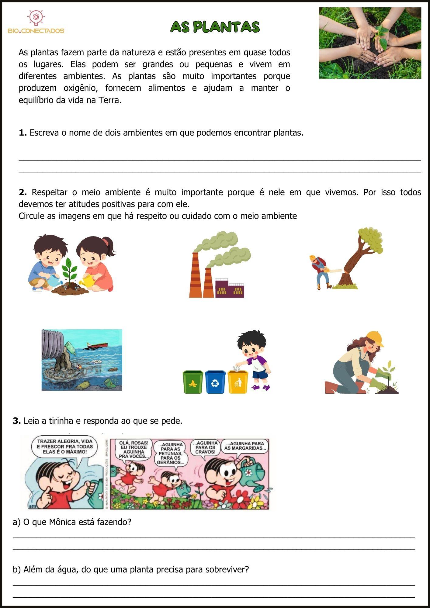 PLANTAS - ATIVIDADES DE CIÊNCIAS