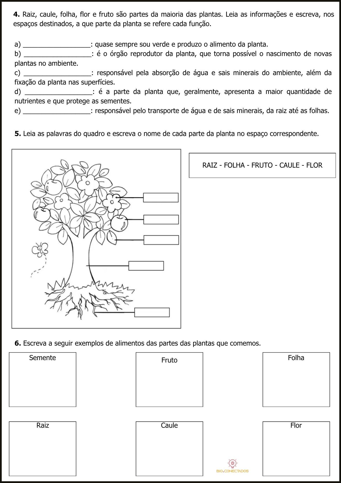 PLANTAS - ATIVIDADES DE CIÊNCIAS