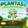  PLANTAS - ATIVIDADES DE CIÊNCIAS