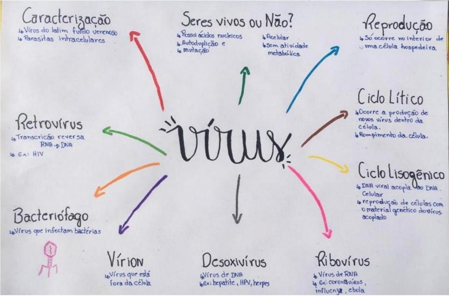  Mapa mental sobre os vírus